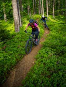 VTT trail en forêt Alsace