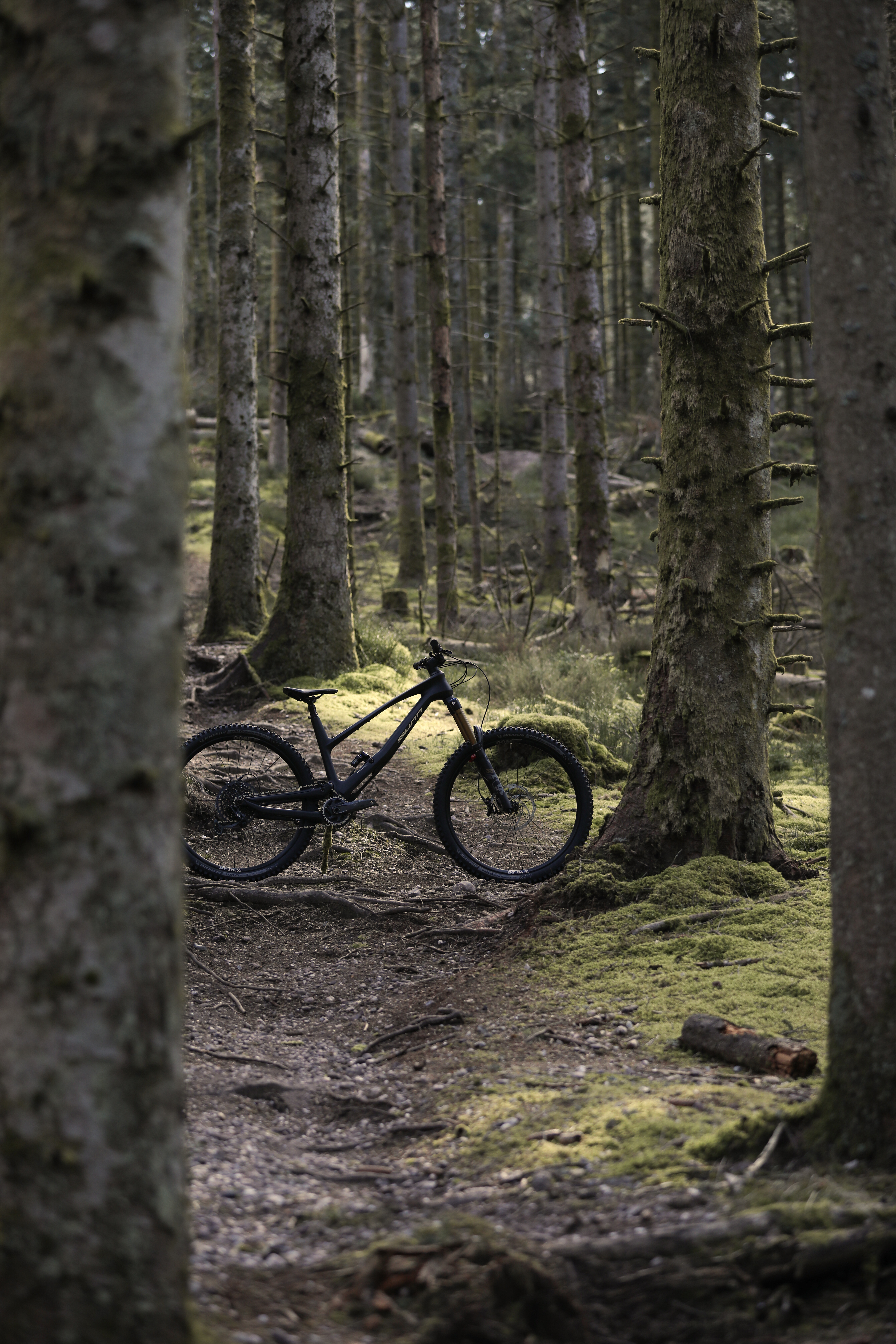 SUNN Radical en action