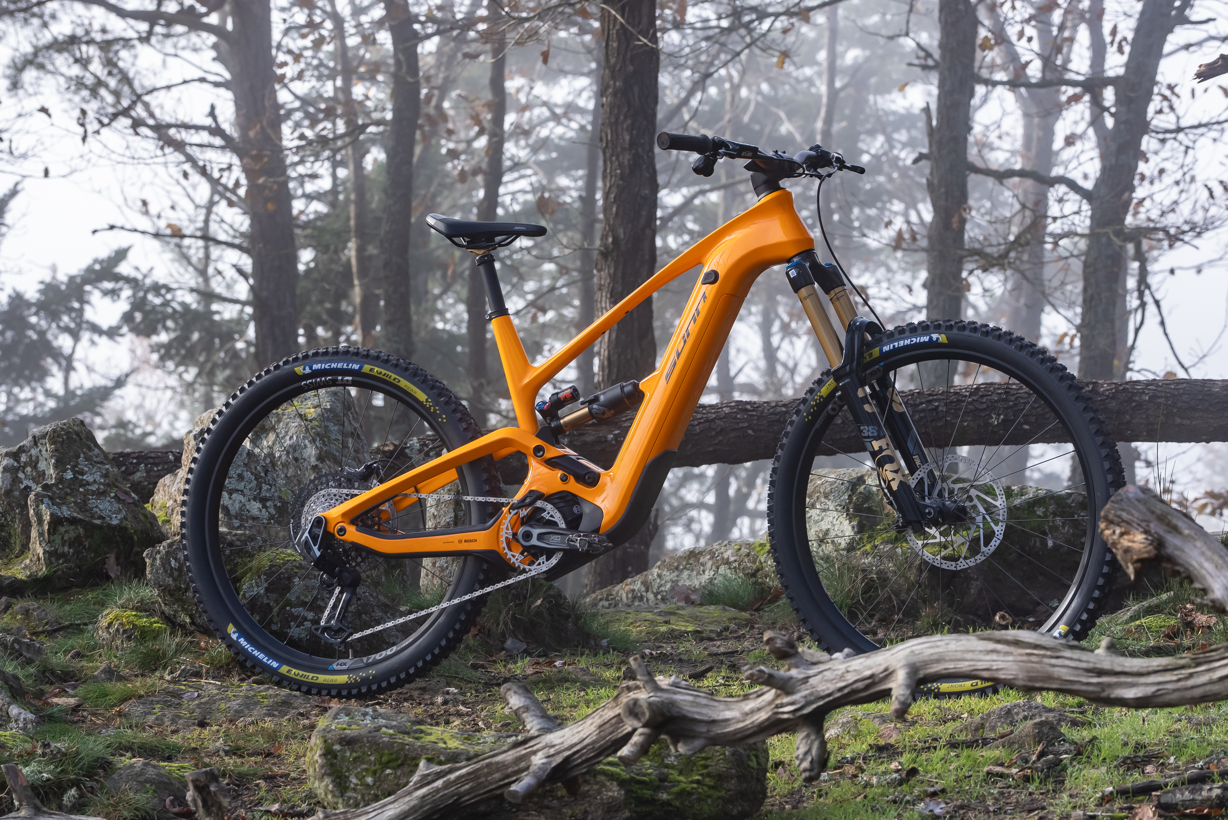 Reprise du Printemps — SUNN orange en forêt